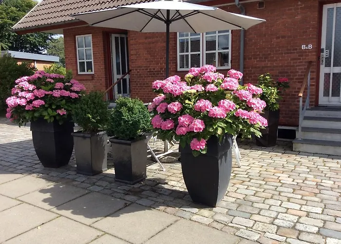 Bed and breakfast Hannas - 51 M2 3*